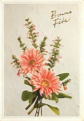 Mazzo de flores — Boa festa — editor desconhecido