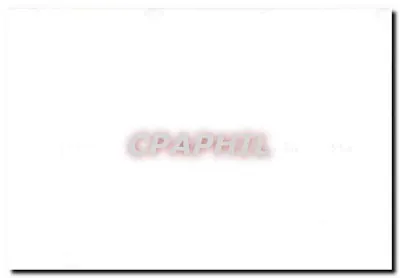 Żywiona ulica w Paryżu — plakaty i graffiti — nr 514 — Rewers