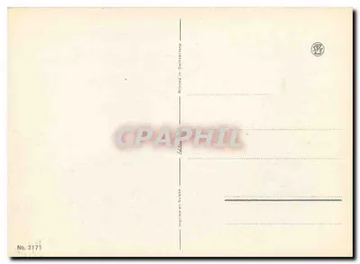Grapes — Vigne — Édition BAILLI, No. 2171 — Rewers