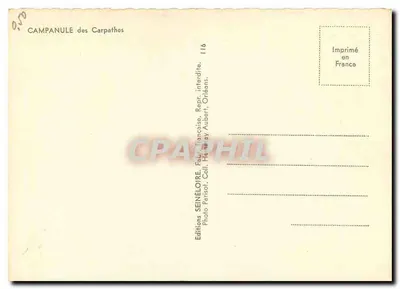 Campanula dos Cárpatos — Éditions Seinéloire, n°116 — Verso