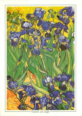 Íris — pintura de Vincent van Gogh — edição não identificada