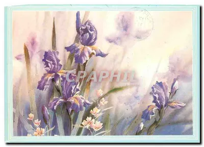 Íris — pintura aquarelada — editor desconhecido