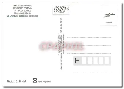 Marais Poitevin — Rã croa sobre as lentilhas — COMPA-CARTERIE — Verso