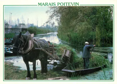 Marais Poitevin — paisagem com cavalo e barco — editor Artaud Frères