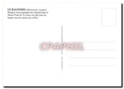 Ragondin — Marais Poitevin — Imprimerie Chalassienne — Rewers