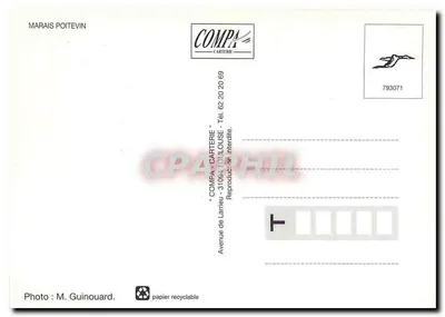 Marais Poitevin — krajobraz wiejski z bykiem — COMPA-CARTERIE — Rewers