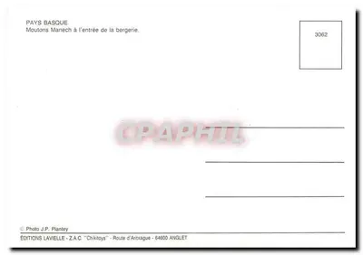Ovelhas Manech na entrada da quinta — Éditions Lavieille, n°3062 — Verso