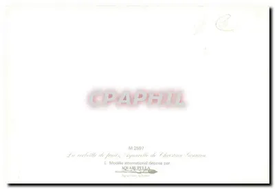 Natureza morta com frutas — Aquarela — Christian Gramica, M 2587, editor AQUARUPPELLA — Verso