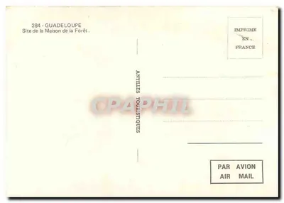 Las w Domu Lasu — Guadeloupe — wydawca Antilles Touristiques, nr 284 — Rewers