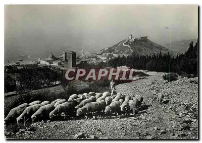 Assisi — vista parcial do monte Subasio — Éd. D.A.C.A. n°132
