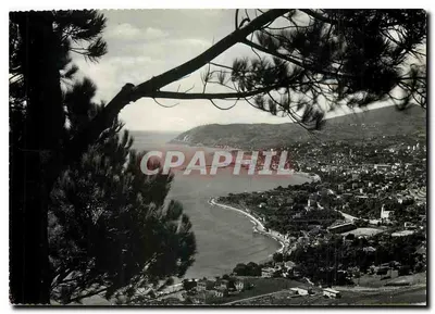 San Remo — widok panoramiczny z sosnowego drzewa — Hotel Royal
