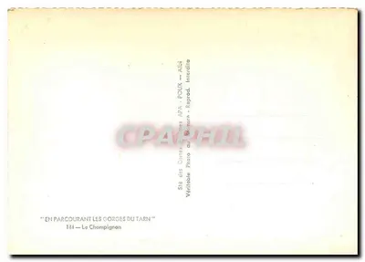 Góry Tarnu — Grzyb — Sté des Cartes Postales APA — POUX — Rewers