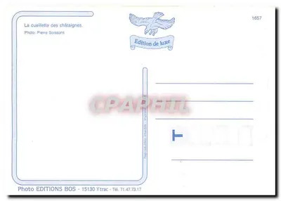 Colheita de castanhas — Edição de luxo — Éditions BOS — Verso