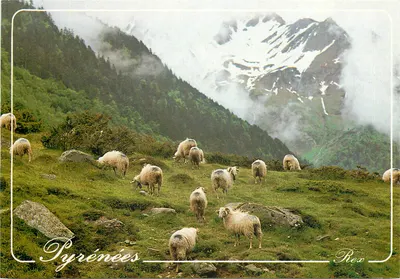 Pirineus — Páscuas — Edições REX n°555