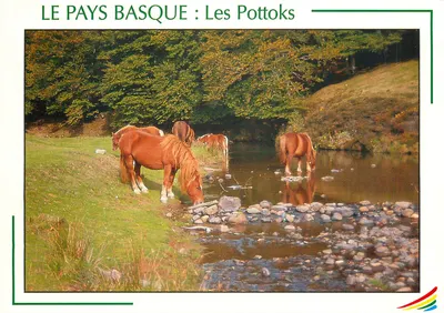 Os Pottoks — País Basco — COMPA - CARTERIE