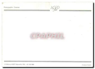 Due anatre e un pulcino — testo umoristico — Edizioni AGEP Marsiglia, n° 45 186 062 — Verso