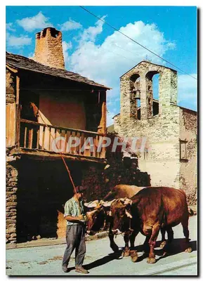 Cerdan d'Estavar — Cena da vida camponesa catalã — Éditions DINO