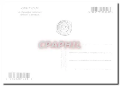 Brytyjska chałupa — błysk i miękkość — Jos El Gouar — Rewers