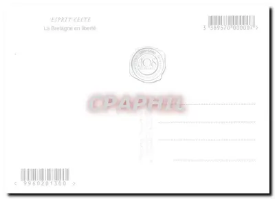 Puffin — ramka keltowska — wydawca Jos Le Doat — Rewers