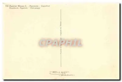 Papaver rhoeas — Roze papaver — uitgever Thot & Oyger, n°710 — Achterkant