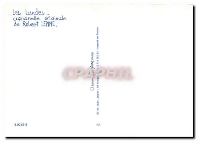 Duna Pilat — krajobraz z ścieżką i sosnami — oryginalna akwarela Roberta Lepine — Rewers