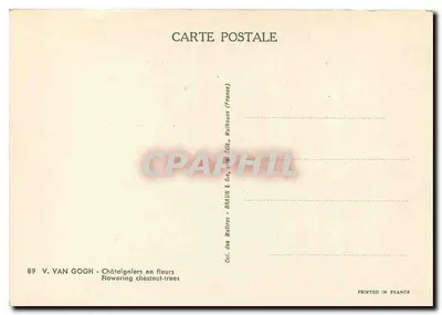 Klonowe drzewa w kwiecie — Malakoff, Francja — Col. des Maîtres, BRAUN & Cie, nr 89 — Rewers