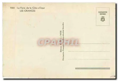 Le arance — Costa Azzurra — Éditions Rima - NICE, n°7002 — Verso