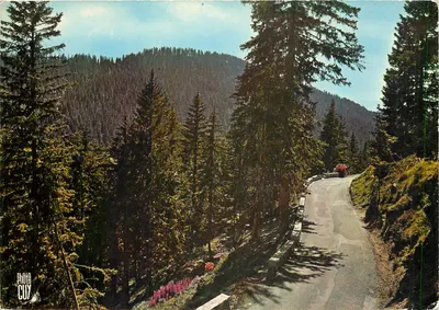 A Grande Floresta de Turini — Alpes-Maritimes — Edições Photoguy