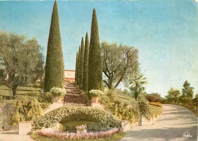 Jardim com ciprestes — vista da villa — Éditions Simba, n° 10372-4