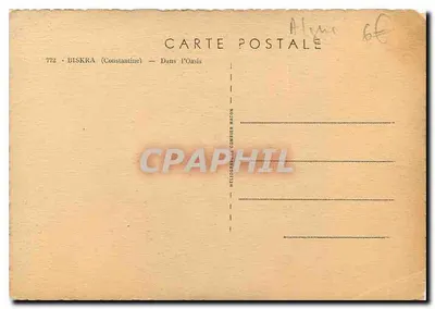 Bilhete postal moderno Biskra Constantine Na Oasis Camelo Mula — Verso