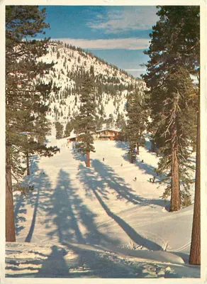 Paisagem nevada com chalé — Montanha nevada, floresta de pinheiros — Editor não visível