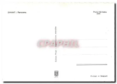 Dinant: Panorama — widok z lotu ptaka miasta i Mezury — Wydawnictwo Prawdziwe 5566 — Rewers