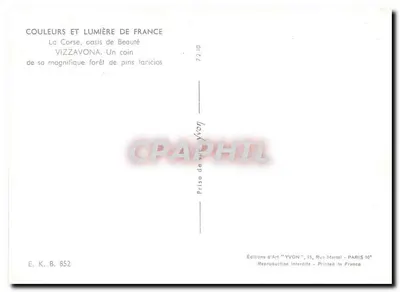 Vizzavona — floresta de pinheiros larícios — Éditions d'Art YVON — Verso