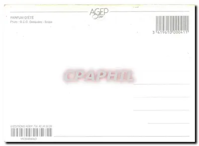 Zacieniona ulica w Sainte-Maxime — widok kawiarni i zabudowań — Wydawnictwo AGEFP — Rewers