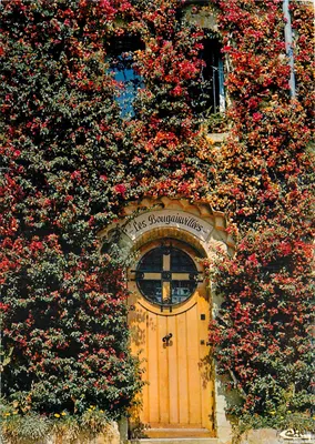 As Bougainvillées — porta de madeira sob trepadeira florescente — Cimrome