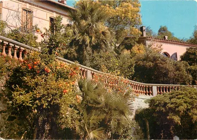 Bormes-les-Mimosas — 'La Perle du Var' — Éditions du Soliel