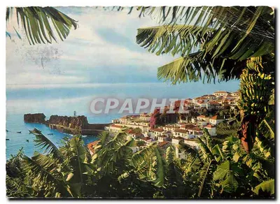Câmara de Lobos — aldeia de pescadores — editor não identificado