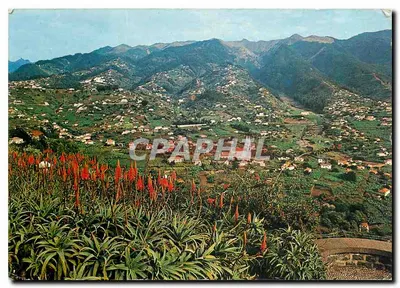 Vista do Pico dos Barcelos — Ilha da Madeira — editor CPAPHAL, n° 196