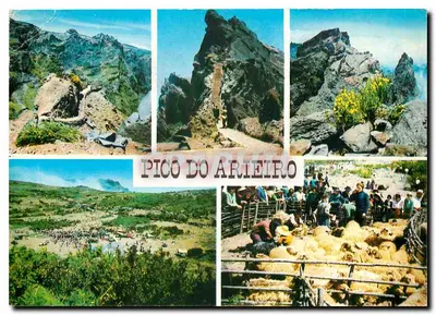 Pico do Arteiro — vista panorâmica e feira de ovelhas — editor Natural Aéreos