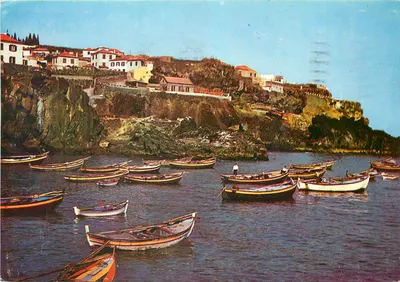 Baía de Câmara de Lobos — Madeira — Imprimeur Madeira 15