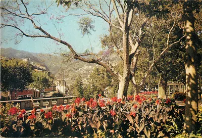 Jardins da Praça de Tenerife — Funchal, Madeira — editor J. Arthur Dixon Ltd.