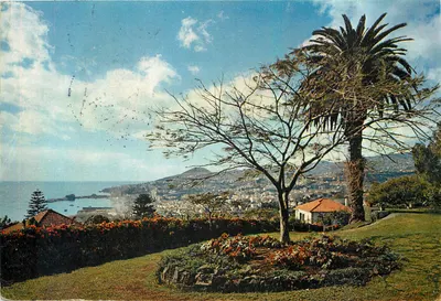 Vista de Funchal a partir de uma Quinta — Madeira — editor J. Arthur Dixon Ltd.