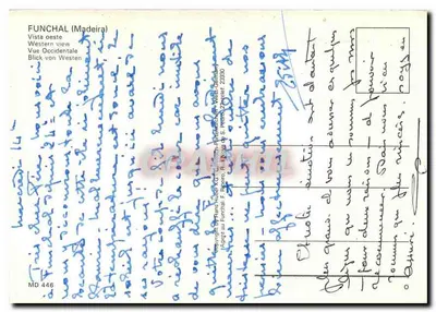 Funchal (Madeira) — vista ocidental — editor F. Reparo, n° MD 446 — Verso