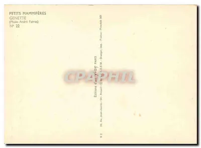 Genette — Série Petits Mammifères — Éditions d'Art Yvon, Paris — Rewers