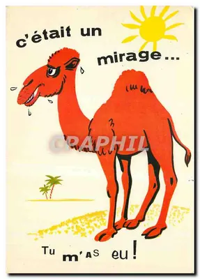 Bilhete postal moderno Amores de Animais