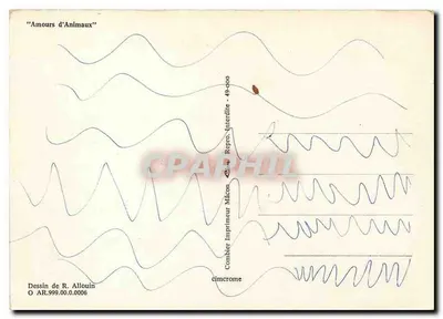 Bilhete postal moderno Amores de Animais — Verso