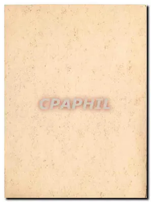 Gatto grigio — Occhi gialli — su cuscino fiorito — Verso