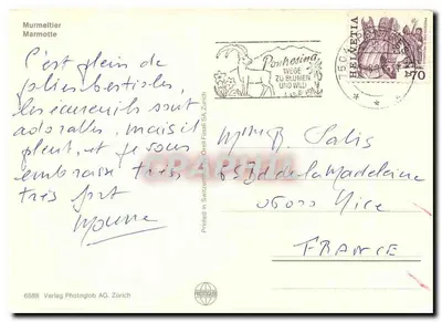 Marmota — Pontresina, Szwajcaria — Verlag Photoglob AG Zurych, n° 6588 — Rewers