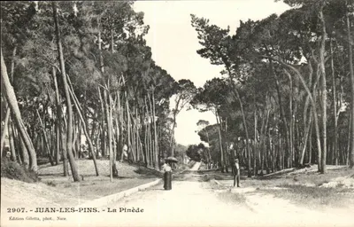 Juan-les-Pins — A Pinède — Edição Giletta, Nice, n°2907