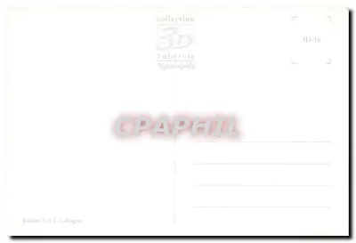 Winogrona / CL Calcagno — Kolekcja 3D Subervie Aquarupella — n° 3D-16 — Rewers